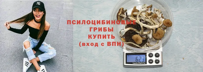 Галлюциногенные грибы GOLDEN TEACHER  Бахчисарай 